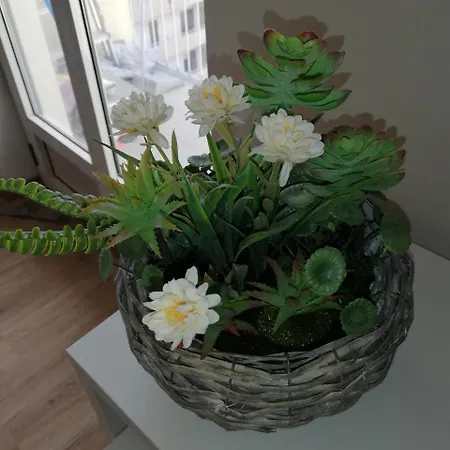 Ernesto's House Apartment